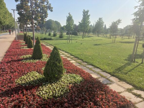 Bursa çiçek bahçesine dönüşüyor