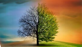 Türkiye'nin ilk "İklim Kanunu Teklifi Yasalaştı